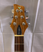 Ferro Guitars Chambered Body
